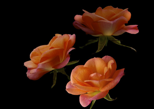 991811 (a): :2560x1808